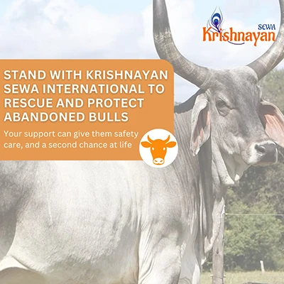 Volunteer journey video