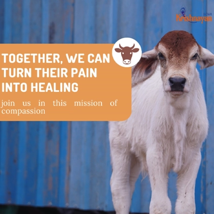 Relief mission highlights video