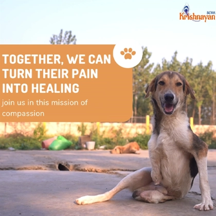 Volunteer journey video